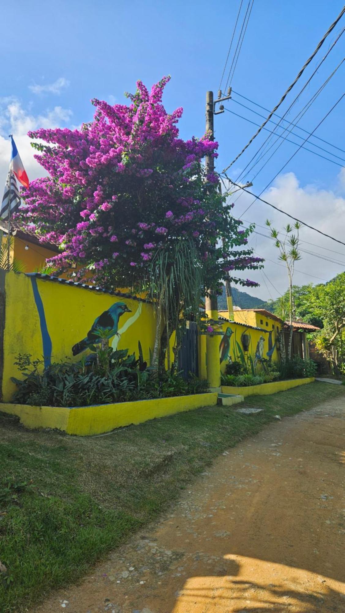 Casa Dos Franceses Ilha Grande Vila Exterior foto